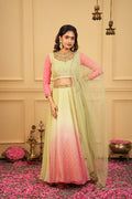 Rita Collection