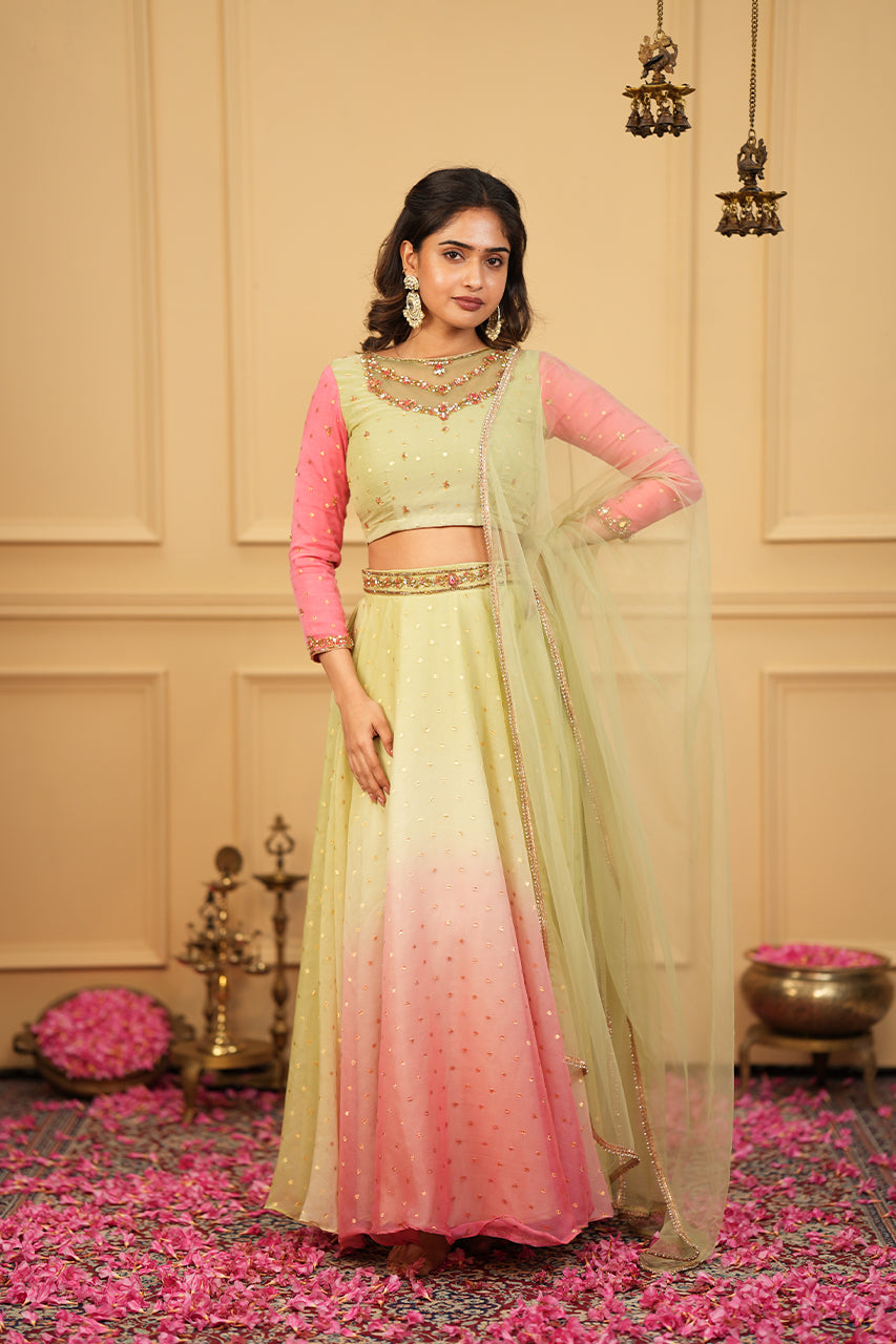 Rita Collection